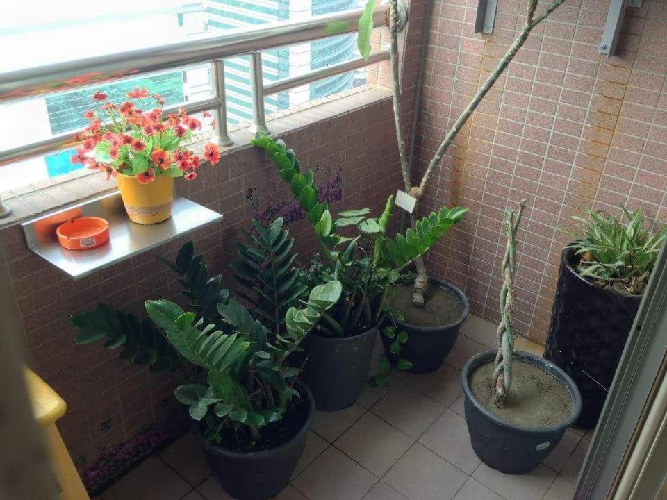 家家小屋 高雄 外观 照片